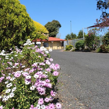Colonial Motor Inn Pambula Exteriér fotografie