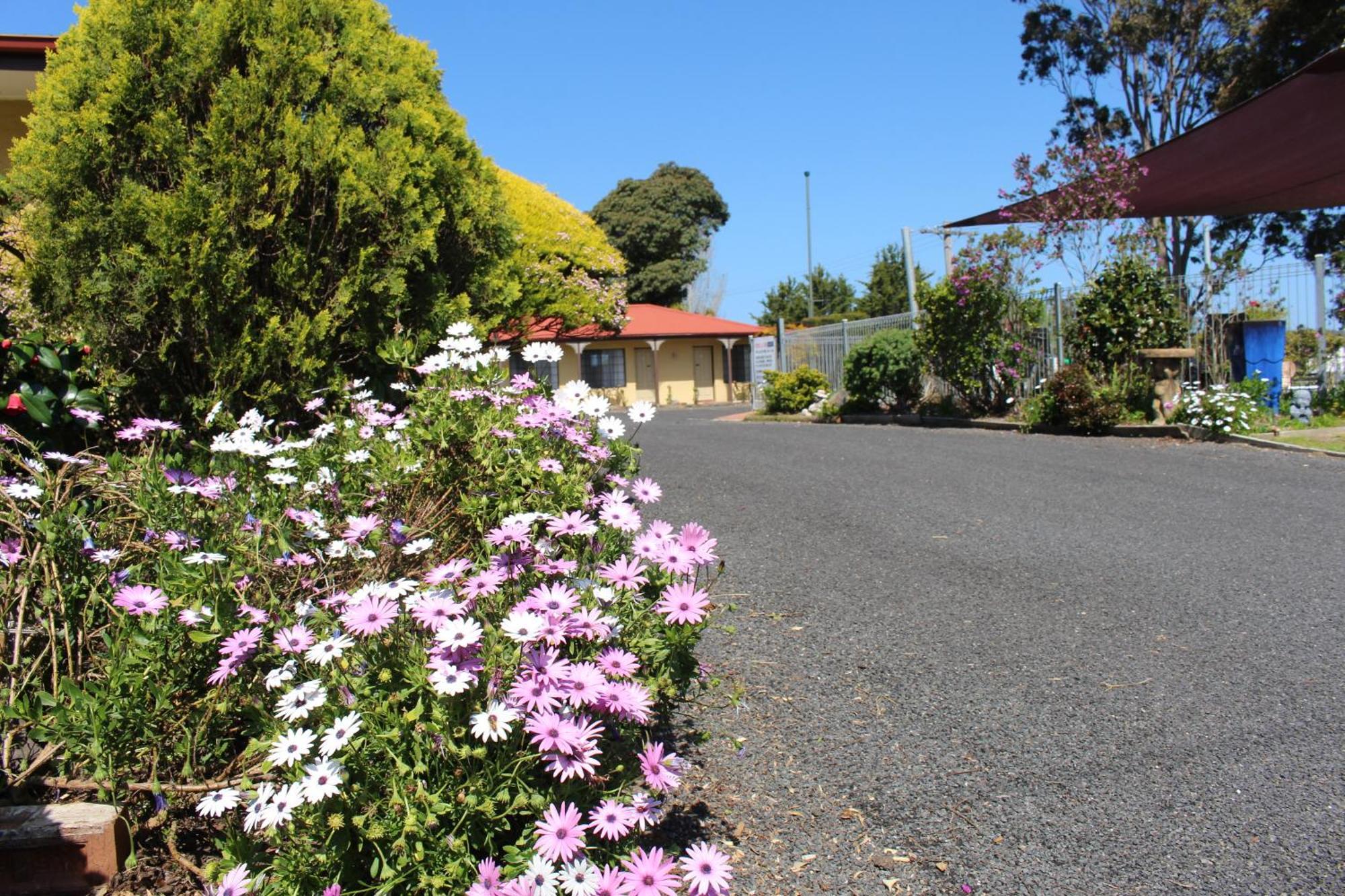 Colonial Motor Inn Pambula Exteriér fotografie